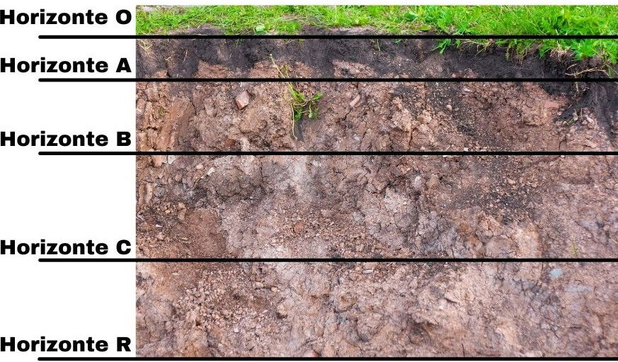 Horizontes Del Suelo Dibujo