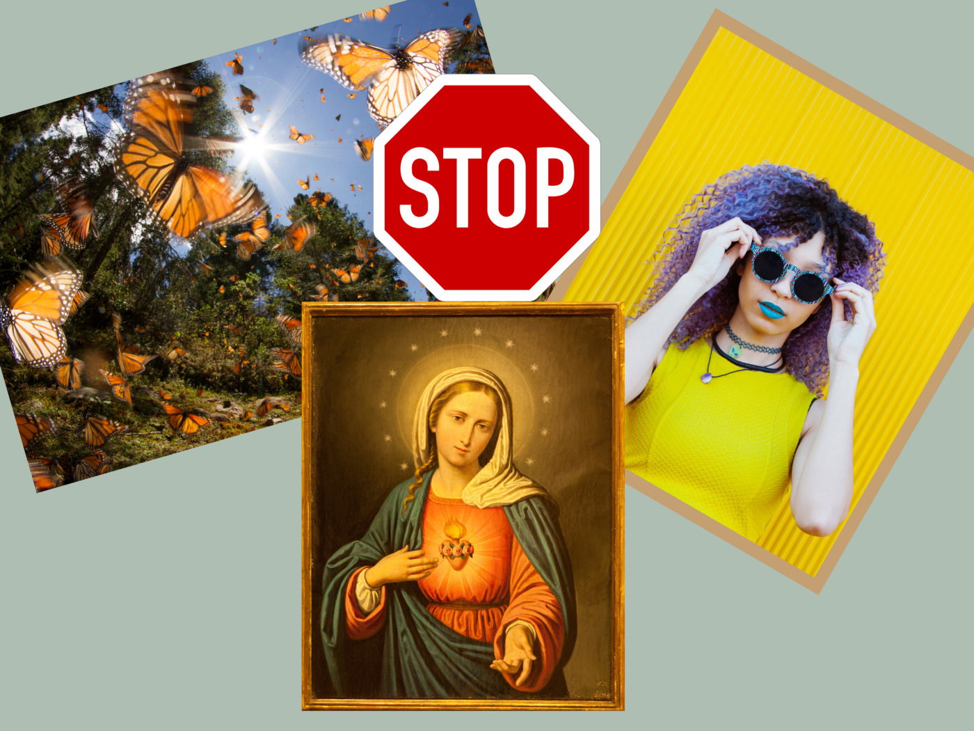 Imagen qué es, tipos y ejemplos