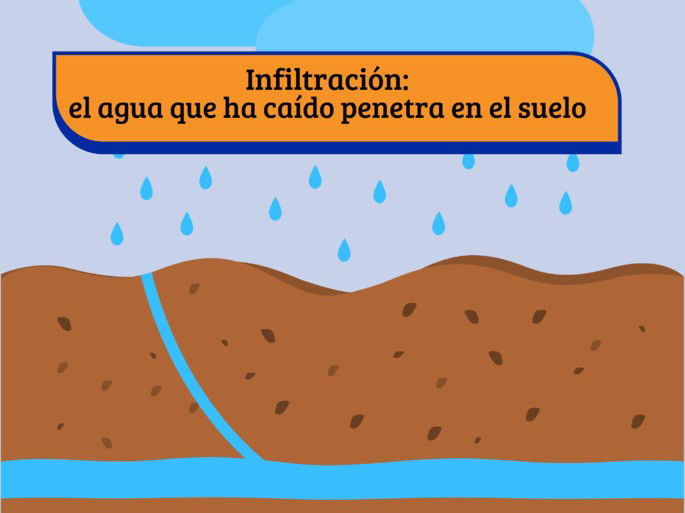ciclo del agua: infiltración (gotas de agua entrando en el suelo)
