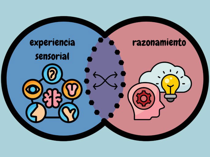 intelectualismo: sentidos combinados con la razón