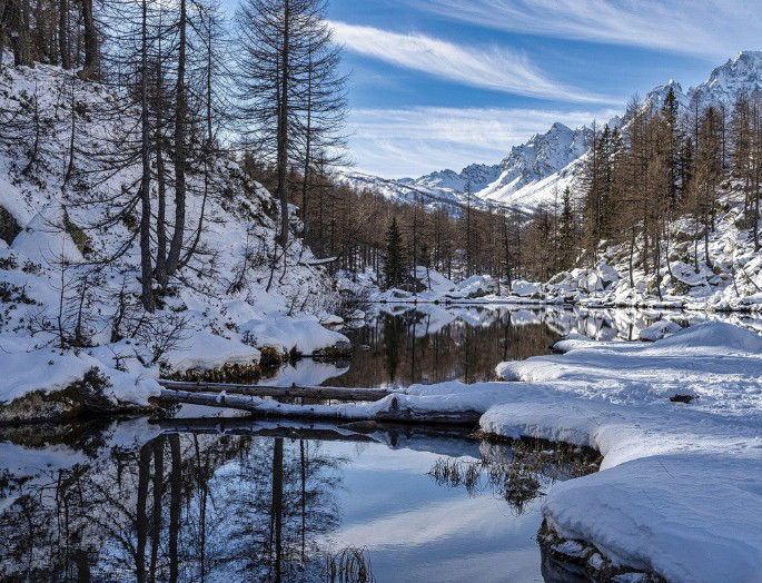 fotografía de un bosque en invierno, con árboles nevados y río