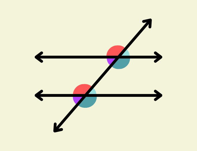 líneas paralelas atravesadas por una línea transversal que forma varios ángulos