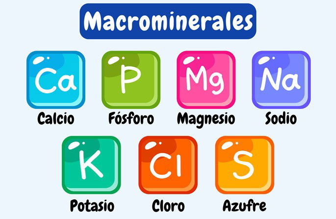 Macrominerales