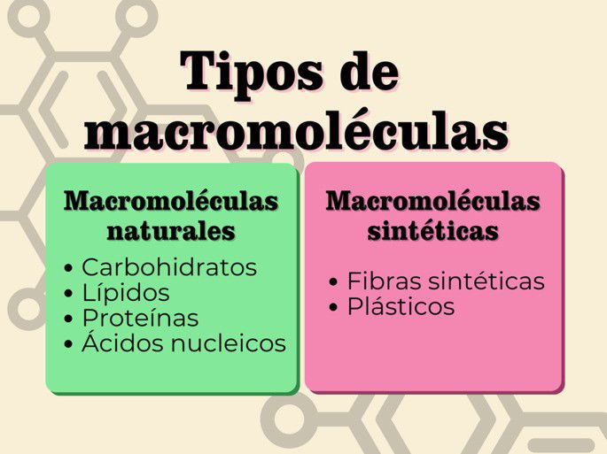 Tipos de macromoléculas, divididas en macromoléculas naturales y sintéticas