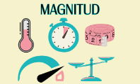 Magnitud