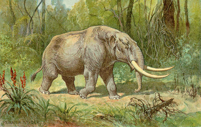 Mastodonte americano