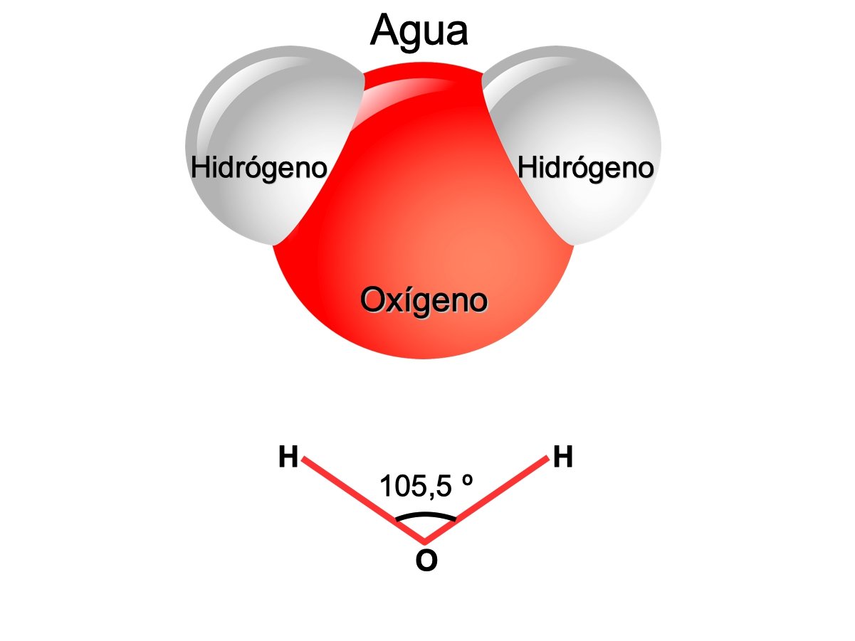 molecula del agua mostrando la estructura de los dos hidrogenos y el oxigeno