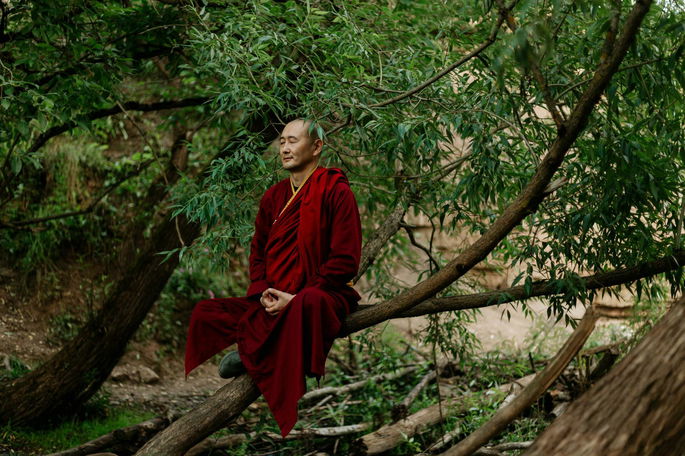 monje meditando en árbol