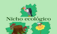 Nicho ecológico