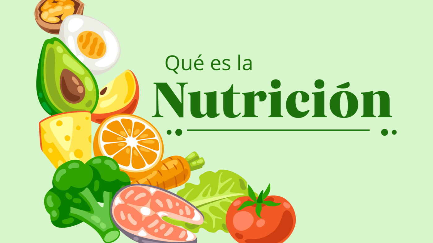 Qué es la nutrición y sus tipos - Enciclopedia Significados