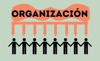 Organización