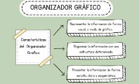 Organizador gráfico