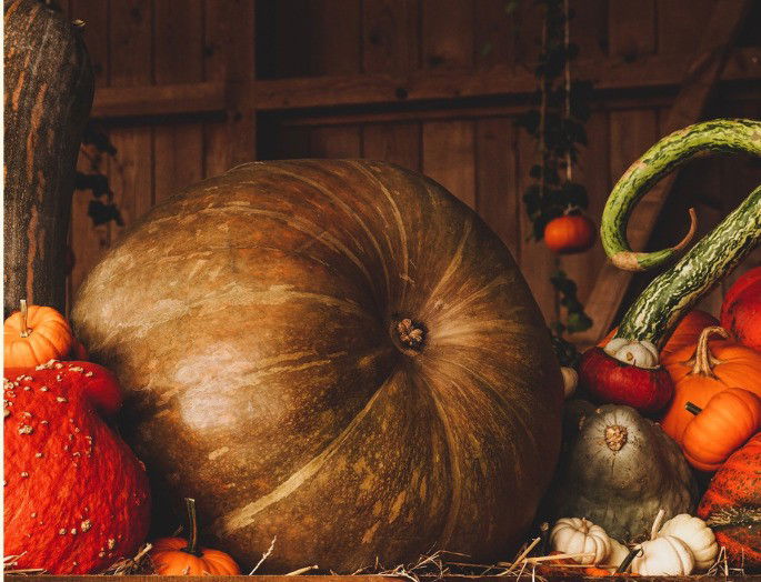 bodegón con calabazas, calabacines y otras verduras propias de la cosecha de otoño