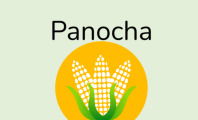 Panocha