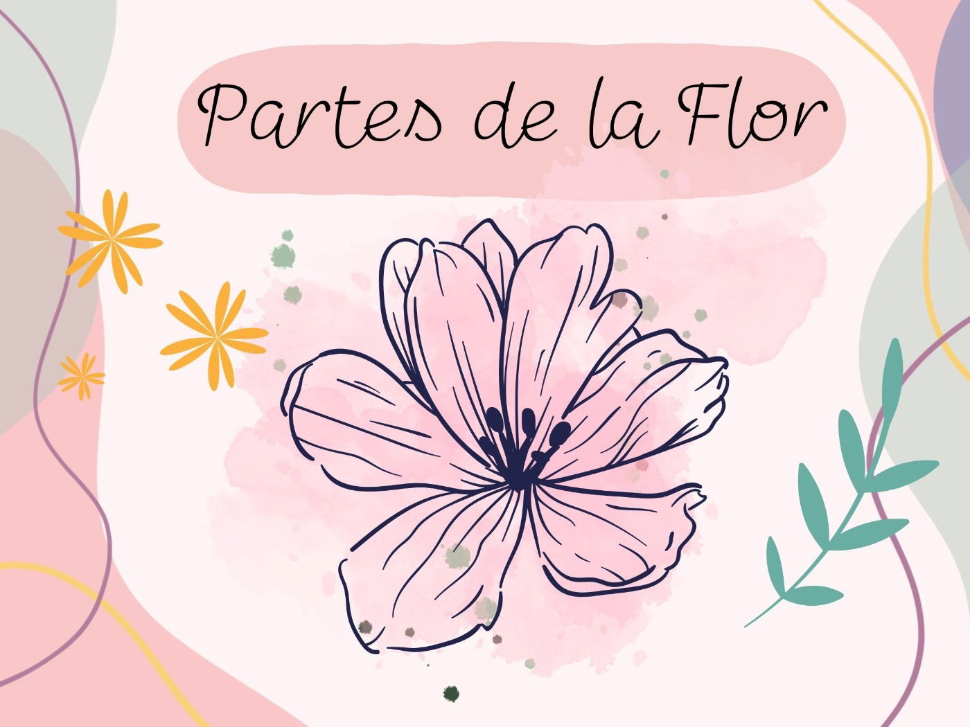 Partes De La Flor Cu Les Son Dibujo Y Nombres Enciclopedia