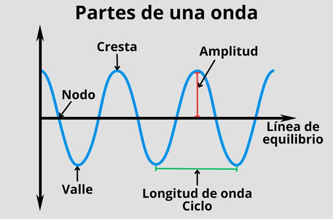 Partes principales de una onda: la cresta, el nodo, el valle, la amplitud, la longitud de onda, el ciclo y la línea de equilibrio.