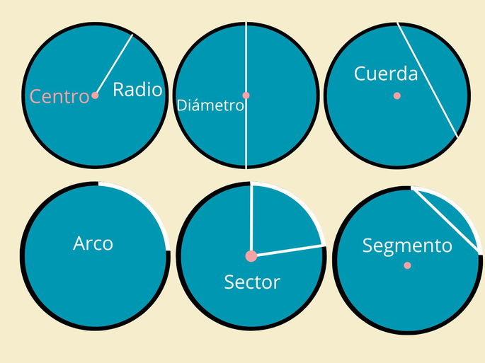 partes del circulo situadas y enumeradas