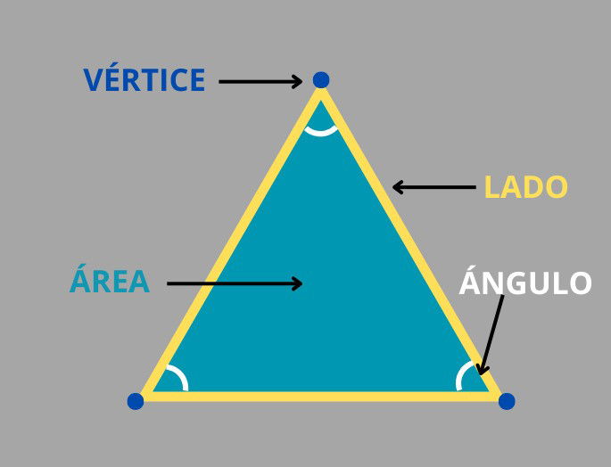 Partes triángulo con nombres