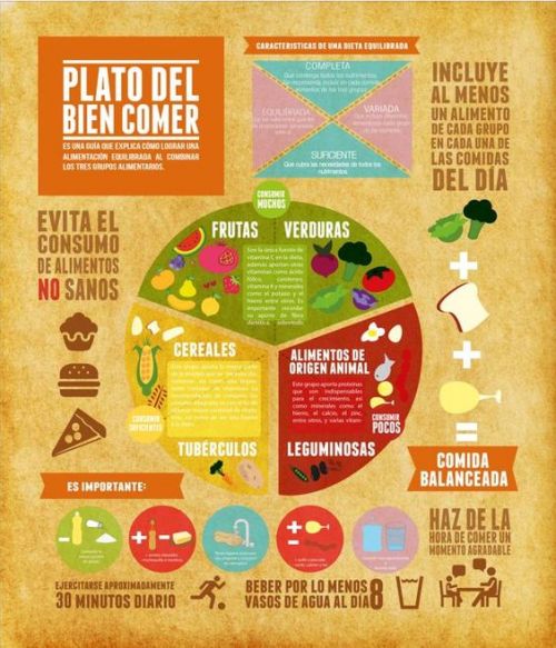 infografía divulgativa sobre nutrición