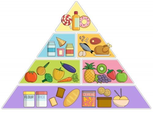 Ejemplo de una pirámide alimenticia con cuatro niveles