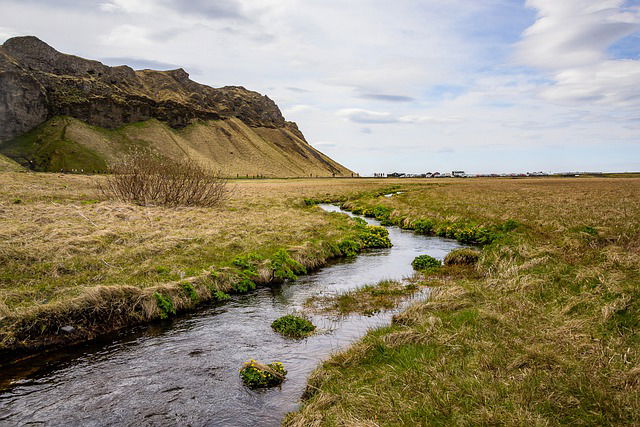 Bioma de pradera