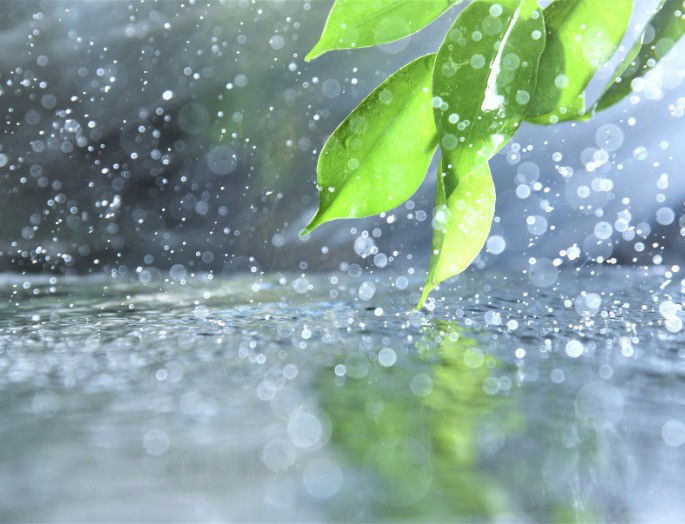 Lluvia cayendo sobre hojas verdes y el suelo