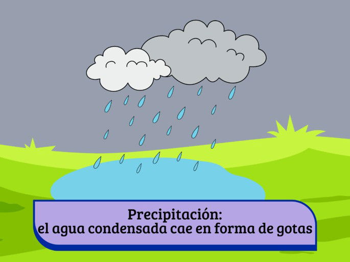 ciclo del agua: precipitación (nubes y lluvia cayendo sobre charco en un campo verde)