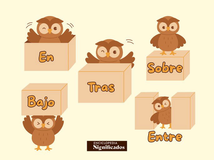 preposiciones: ejemplos ilustrados por un búho con una caja