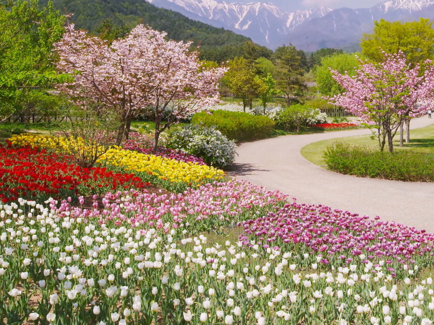 PRIMAVERA