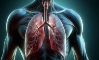 Pulmones