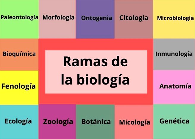 Equipo forma Impresión Ramas de la biología: cuáles son y qué estudian - Significados