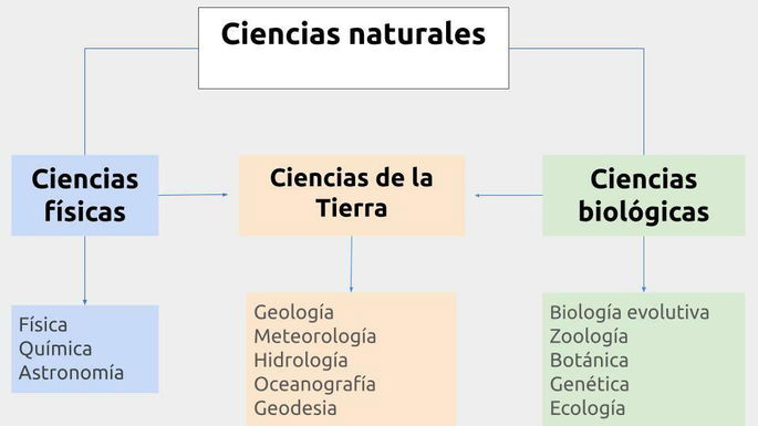 Disciplinas de las ciencias naturales según sus ramas