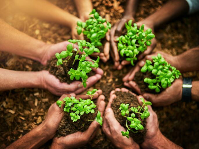 Seis personas de diferentes etnias sosteniendo una planta y tierra, sobre un fondo de suelo fértil.