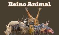 Reino Animal