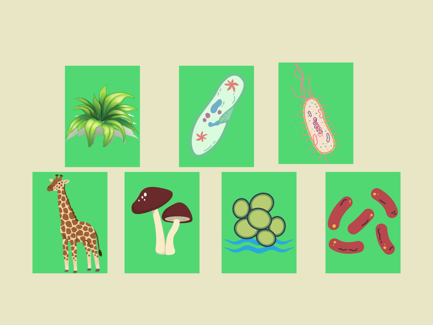 Los 7 Reinos de la Naturaleza (y sus características) - Enciclopedia  Significados