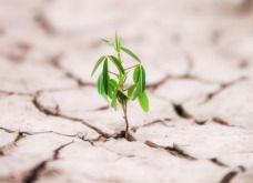 Resiliencia