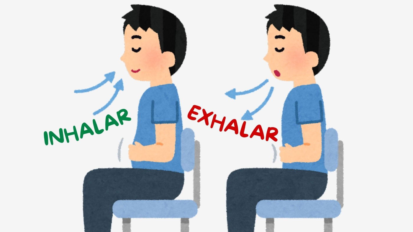 Respiración: Qué es, Tipos y Proceso en el ser humano - Enciclopedia  Significados