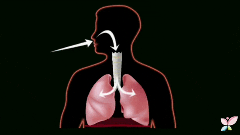 Tipos de respiración, respiración pulmonar.