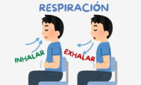 Respiración