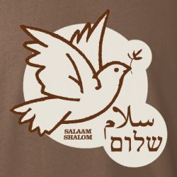 Significado de Shalom shalom na bíblia