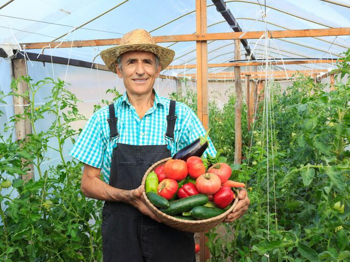 Un agricultor recogiendo vegetales de su jardín