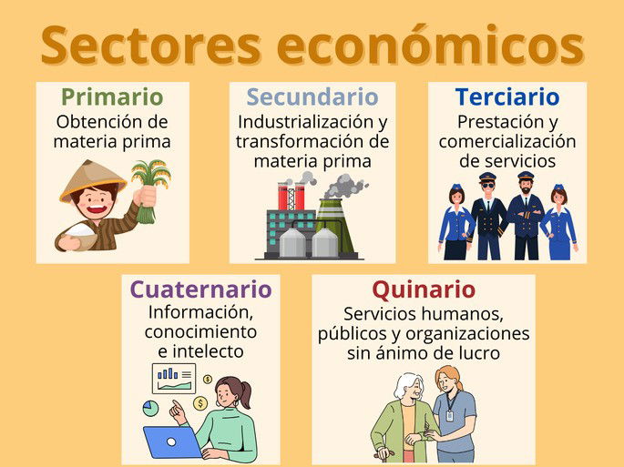 Sectores económicos: el sector primario, secundario, terciario, cuaternario y quinario, y sus definiciones