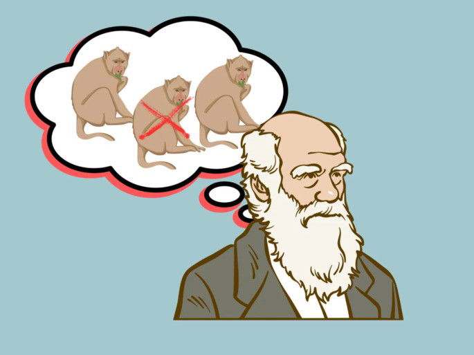 Darwin y la selección natural