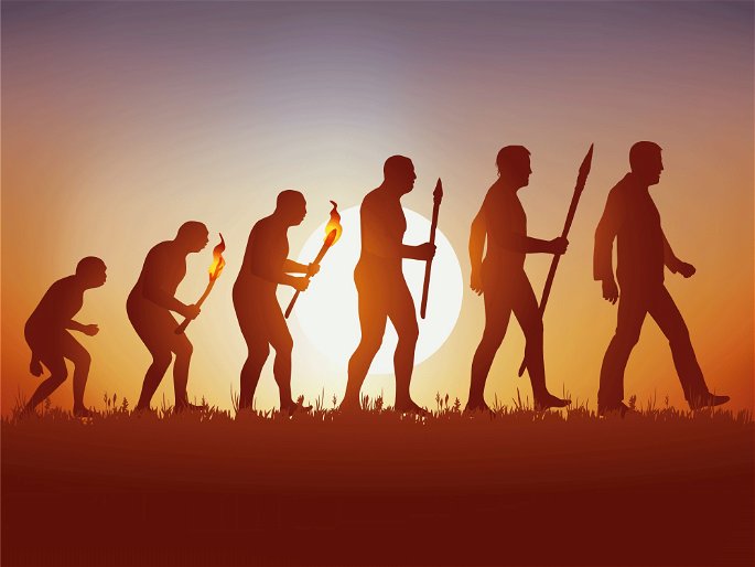 evolución humanos
