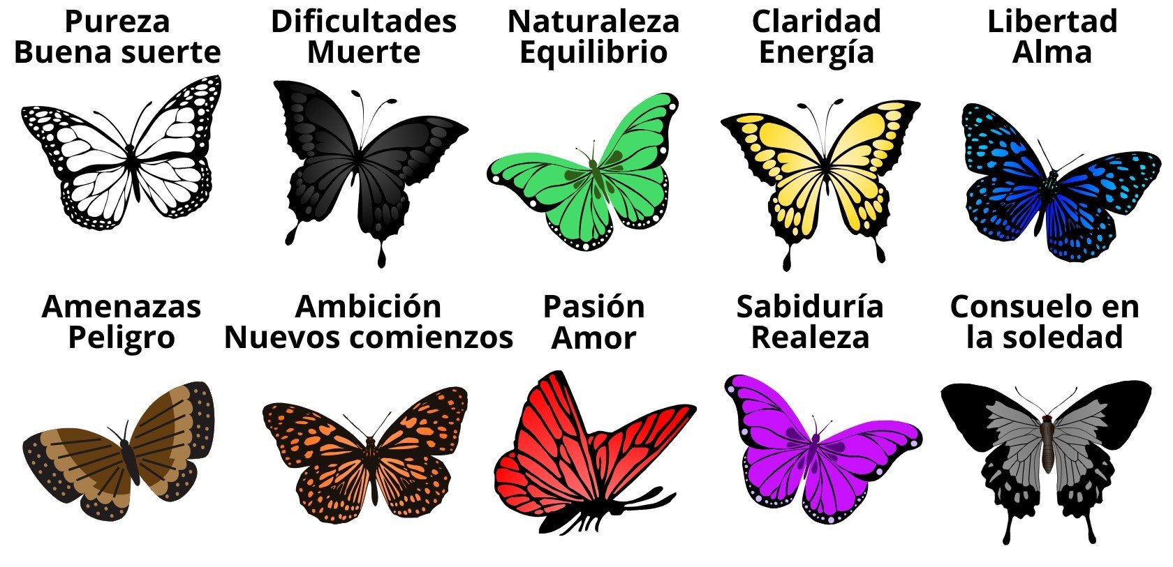 Significado de las mariposas según el color: blancas, negras, verdes, amarillas, azules, café o marrón, naranjas o monarca, rojas, moradas y grises