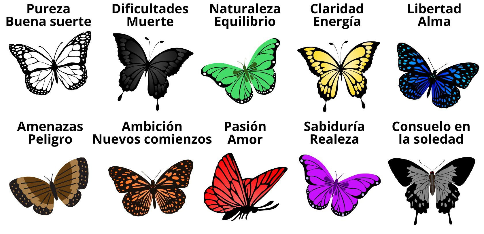 Que Significa La Mariposa Blanca En Lo Espiritual Sale | www ...