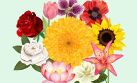 Significado de las flores
