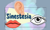 Sinestesia