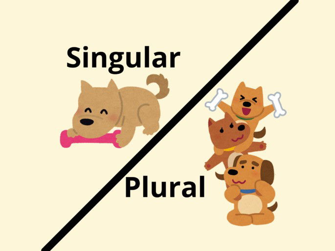 singular y plural