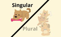 Qué es Singular